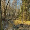 11 b Rund um Ellwangen